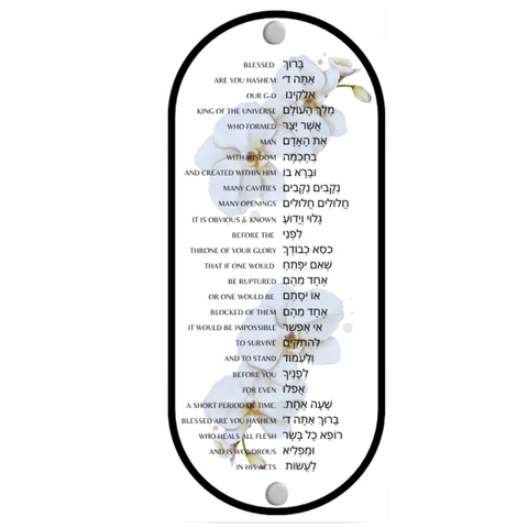 Orchid Asher Yatzar with English Translation